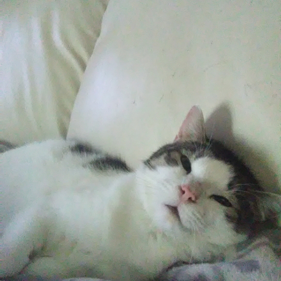 Meet your Posher, Christine - Picture 2 of 2